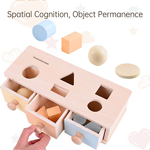 MORITECK Montessori 3 in 1 Object Permanence Box Coin Box Shape Sorter for 8 Months up Baby Wooden Toy for Boy Girls Christmas Birthday Gift from MORITECK