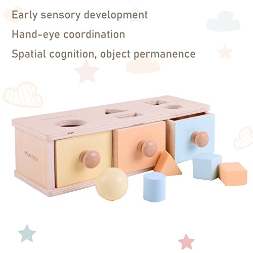 MORITECK Montessori 3 in 1 Object Permanence Box Coin Box Shape Sorter for 8 Months up Baby Wooden Toy for Boy Girls Christmas Birthday Gift from MORITECK