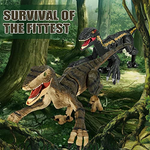 Mini Tudou Remote Control Dinosaur Toys,Electronic Walking Toys with LED Light Up&Realistic Simulation Sounds,2.4Ghz Velociraptor Robot Toys,Best RC Dinosaur Gifts for Boys Kids Age 5 6 7 8 9 from Mini Tudou