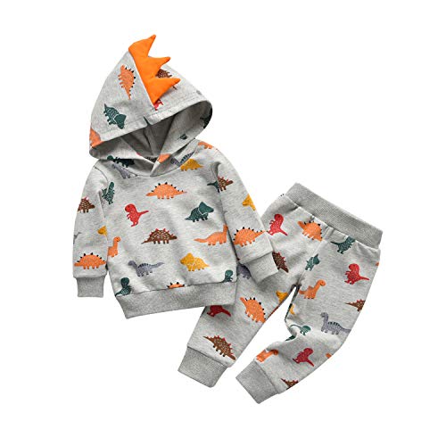 Toddler Infant Baby Boy Clothes Colored Dinosaurs Long Sleeve Hoodie Tops Sweatsuit Pants Outfit Set (9-12 Months) by 