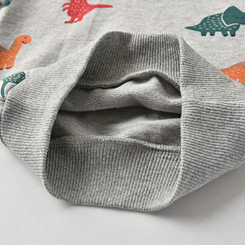 Toddler Infant Baby Boy Clothes Colored Dinosaurs Long Sleeve Hoodie Tops Sweatsuit Pants Outfit Set (9-12 Months) by 