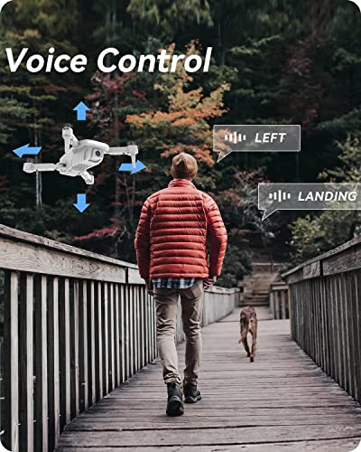 Holy Stone Drone with Camera for Kids, HS430 FPV HD 1080P Video Drones for Adults Beginner, Foldable Nano Hobby RC Quadcopter,Toys Gifts with Circle Fly, Throw to Go, 3 Batteries 39 Mins Long Flight Time from Holy Stone