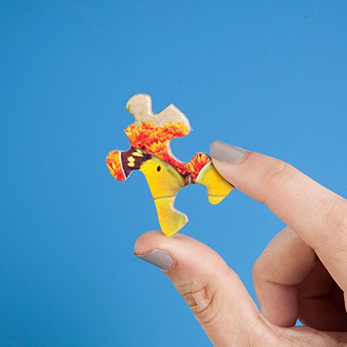 Bits and Pieces - Value Set of Two (2) â 300 Piece Jigsaw Puzzles for Adults â 300 pc Large Piece Jigsaws by Artist Nancy Wernersbach â 18" x 24" by Melville Direct