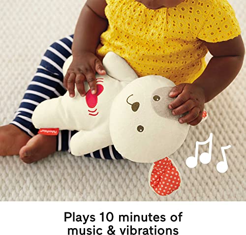 Fisher-Price Calming Vibrations Cuddle Soother, Musical Plush Toy for Infants and Toddlers [Amazon Exclusive] from Fisher-Price