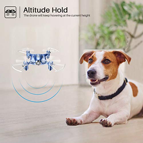 DoDoeleph Mini Drones for Kids or Adults, RC Drone Helicopter Toy, Easy Indoor Small Flying Toys Pocket Quadcopters for Boys or Girls Blue from DoDoeleph