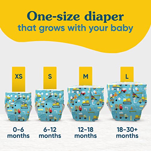 Charlie Banana Baby Washable and Reusable Cloth Diapers, 5 Soft Pocket Diapers and 5 Absorbent Inserts, One-Size, Tango Mango from Charlie Banana