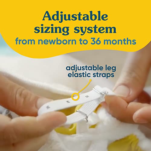 Charlie Banana Baby Washable and Reusable Cloth Diapers, 5 Soft Pocket Diapers and 5 Absorbent Inserts, One-Size, Tango Mango from Charlie Banana