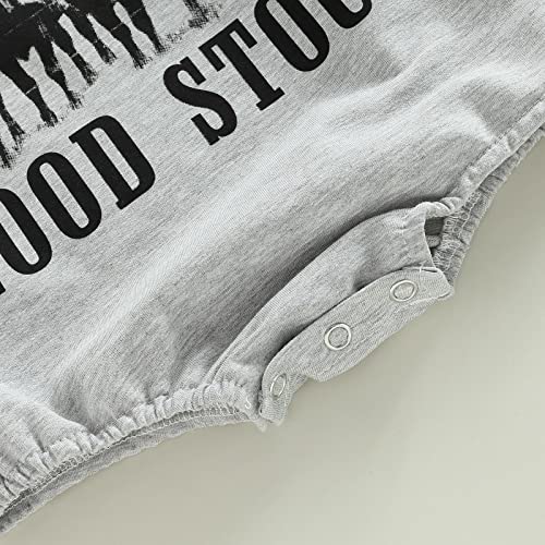 Lamuusaa Western Baby Girl Boy Clothes Long Sleeve Romper Sweatshirt Cow Print Bodysuit Oversized Sweater Fall Outfit 0-24M (Grey, 3-6 Months) from Lamuusaa