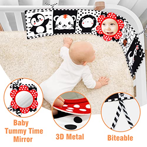 Black White Baby Soft Book - High Contrast Sensory Cloth Book Toy Infant Tummy Time Mirror Toys Folding Crinkle Book Baby Toy Newborn Toy for 0-12 Months Boys Girls Easter Christmas Birthday Baby Gift from FUNNYB&G