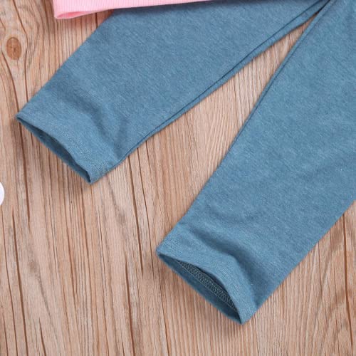 Toddler Girls Clothes Winter Warm Long Sleeve Tops Long Pants Suit Kids Soft Cotton 2Pcs Set (Pink, 3T) from 