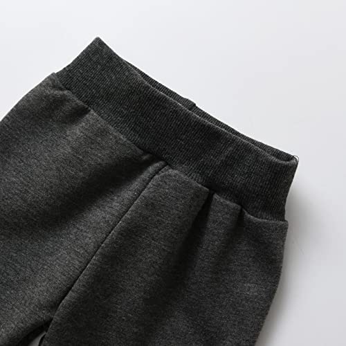 Toddler Baby Boy Clothes Animal Style Long Sleeve Tops Sweatsuit Pants Outfits Set (Light yellow, 18-24 Months) from 