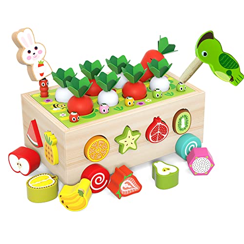 Toddler Montessori Toys,Baby Toys Age 1 2 3, Educational Preschool Learning Montessori Toys,Shape Sorting Toys for Kids,Gift for 1 2 3 Year Old Girl Boys (Special Edition) from GoTravel2