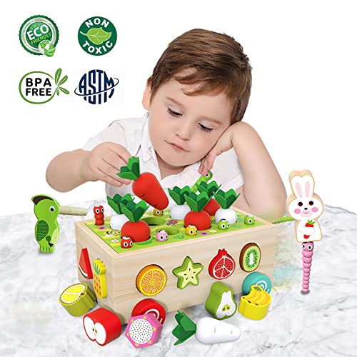 Toddler Montessori Toys,Baby Toys Age 1 2 3, Educational Preschool Learning Montessori Toys,Shape Sorting Toys for Kids,Gift for 1 2 3 Year Old Girl Boys (Special Edition) from GoTravel2