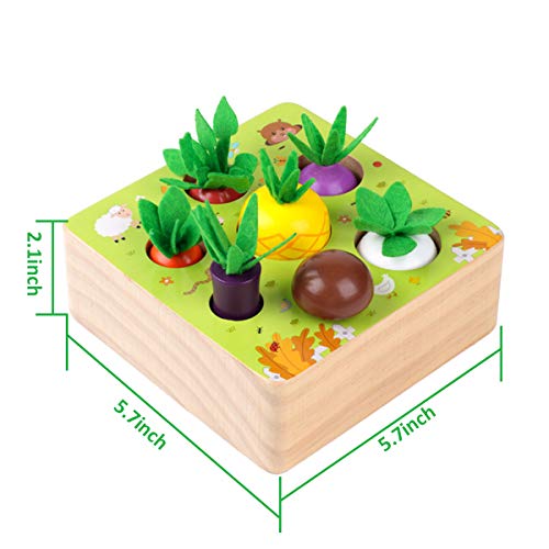 SKYFIELD Wooden Farm Harvest Game Montessori Toy, Early Learning Toy for Boys and Girls 1 2 3 Years Old, Shape Sorting Educational Toy with 7 Sizes Vegetable or Fruit, Gift for Toddlers 1-3 by SKYFIELD