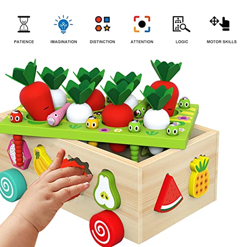 Toddler Montessori Toys,Baby Toys Age 1 2 3, Educational Preschool Learning Montessori Toys,Shape Sorting Toys for Kids,Gift for 1 2 3 Year Old Girl Boys (Special Edition) from GoTravel2