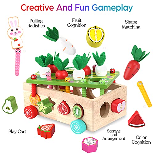 Toddlers Montessori Wooden Educational Toys for Baby Boys Girls Age 1 2 3 Year Old, Shape Sorting Toys Gifts for Kids 1-3, Wood Preschool Learning Fine Motor Skills Game from KMTJT