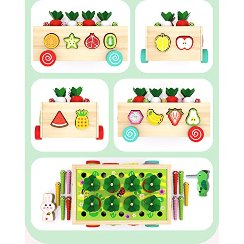 Toddler Montessori Toys,Baby Toys Age 1 2 3, Educational Preschool Learning Montessori Toys,Shape Sorting Toys for Kids,Gift for 1 2 3 Year Old Girl Boys (Special Edition) from GoTravel2