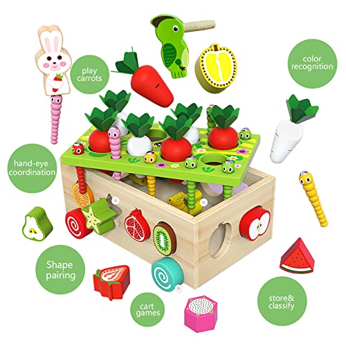 Toddler Montessori Toys,Baby Toys Age 1 2 3, Educational Preschool Learning Montessori Toys,Shape Sorting Toys for Kids,Gift for 1 2 3 Year Old Girl Boys (Special Edition) from GoTravel2