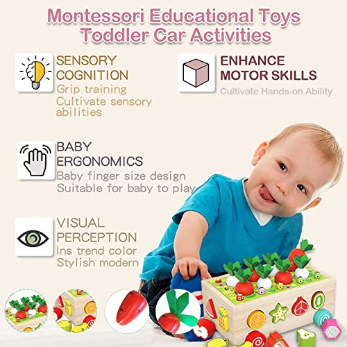 Toddler Montessori Toys,Baby Toys Age 1 2 3, Educational Preschool Learning Montessori Toys,Shape Sorting Toys for Kids,Gift for 1 2 3 Year Old Girl Boys (Special Edition) from GoTravel2
