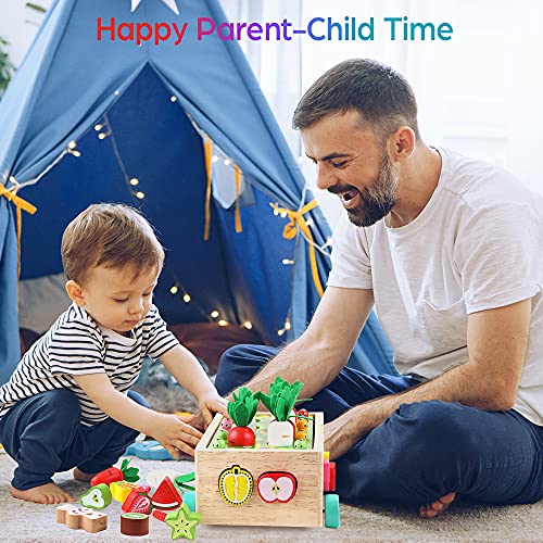 Toddlers Montessori Wooden Educational Toys for Baby Boys Girls Age 1 2 3 Year Old, Shape Sorting Toys Gifts for Kids 1-3, Wood Preschool Learning Fine Motor Skills Game from KMTJT