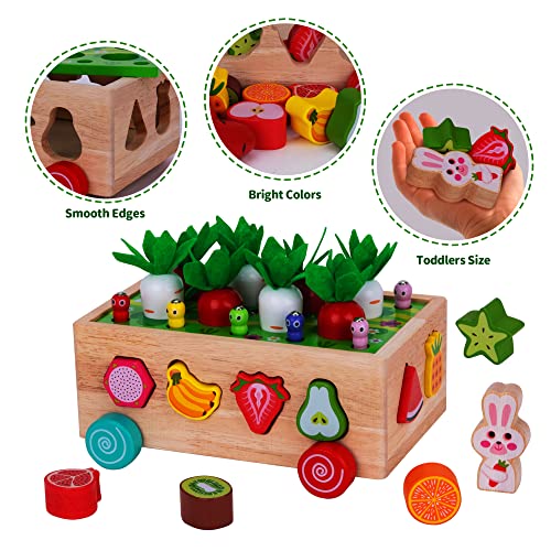 Toddlers Montessori Wooden Educational Toys for Baby Boys Girls Age 1 2 3 Year Old, Shape Sorting Toys Gifts for Kids 1-3, Wood Preschool Learning Fine Motor Skills Game from KMTJT