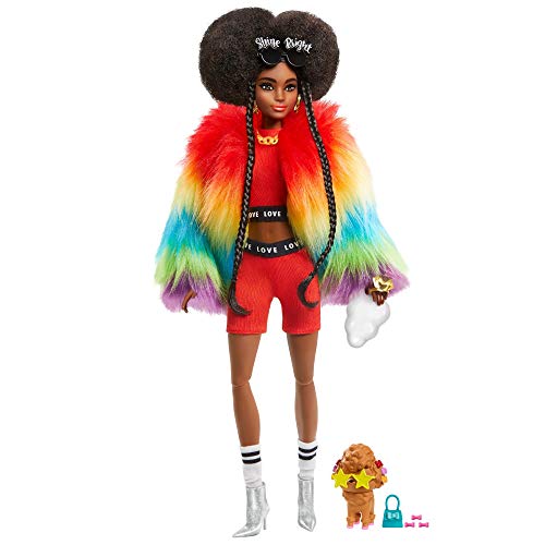 Barbie Extra Doll #1 in Furry Rainbow Coat with Pet Poodle, Brunette Afro-Puffs with Braids, Including âShine Brightâ Sunglasses, Multiple Flexible Joints from Mattel