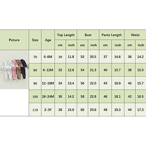 Fall Winter Outfit Infant Baby Boy Girl Solid Color Sweatsuit Crewneck Pocket Sweatshirt Top+Sweatpants Cousin Matching Set (Pink, 12-18 Months) by Wytyjxccyy
