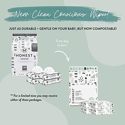 The Honest Company Clean Conscious Wipes | 100% Plant-Based, 99% Water, Baby Wipes | Hypoallergenic, Dermatologist Tested | Pattern Play, 288 Count by The Honest Company