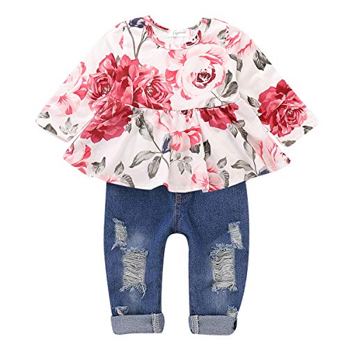 CARETOO Girls Clothes Outfits, Cute Baby Girl Floral Long Sleeve Pant Set Flower Ruffle Top Pink from 