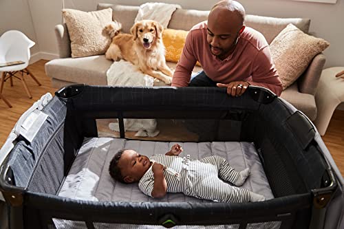 Safety 1st Play-and-Stay Play Yard, Easy fold, Full-Size Play Yard with Removable Full Bassinet, High Street by Dorel Juvenile Group