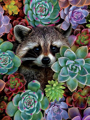 Ceaco - Nature's Beauty - Racoon - 550 Piece Jigsaw Puzzle by Ceaco