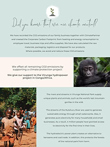 JoliCoon Pregnancy announcement scratch card - You are going to be grandparents - Baby announcement - Eucalyptus by 