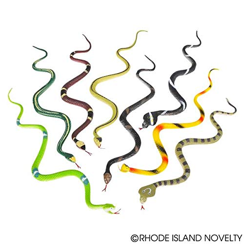 Rhode Island Novelty 14" Rain Forest Snakes | Assorted Designs | Set of 12 from RINO