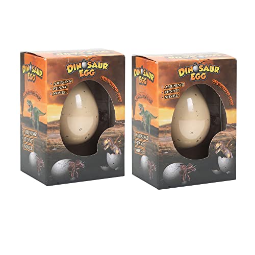 Class Collections Surprise Growing Dinosaur Hatch Egg Kids Novelty Toy- Pack of 2 from Class Collections