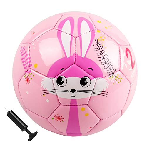 EVERICH TOY Soccer Ball Size 2 Soccer Balls for Kids-Sport Ball for Toddlers-Backyard Lawn Sand Outdoor Toys for Boys and Girls,Including Pump from EVERICH TOY