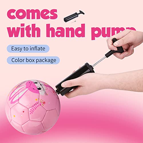 EVERICH TOY Soccer Ball Size 2 Soccer Balls for Kids-Sport Ball for Toddlers-Backyard Lawn Sand Outdoor Toys for Boys and Girls,Including Pump from EVERICH TOY