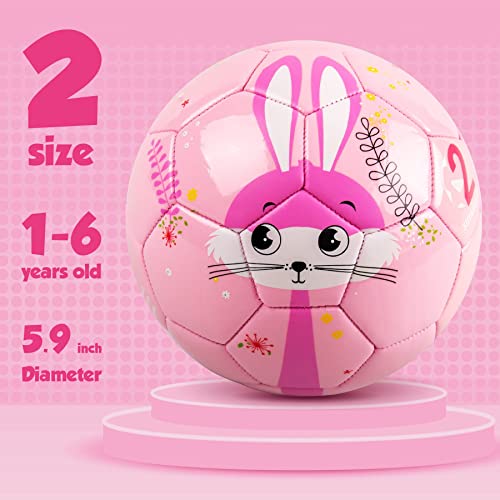 EVERICH TOY Soccer Ball Size 2 Soccer Balls for Kids-Sport Ball for Toddlers-Backyard Lawn Sand Outdoor Toys for Boys and Girls,Including Pump from EVERICH TOY