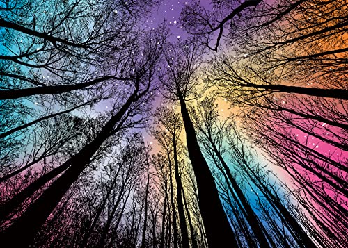 Hard Impossible Puzzles for Adults 1000 Piece, Challenging Difficult Puzzles for Adults, Colorful Gradient Jigsaw Puzzle for Adult from BBOLDIN