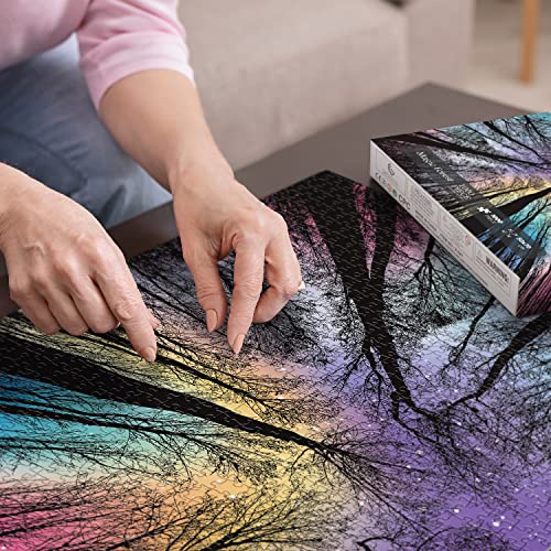 Hard Impossible Puzzles for Adults 1000 Piece, Challenging Difficult Puzzles for Adults, Colorful Gradient Jigsaw Puzzle for Adult from BBOLDIN