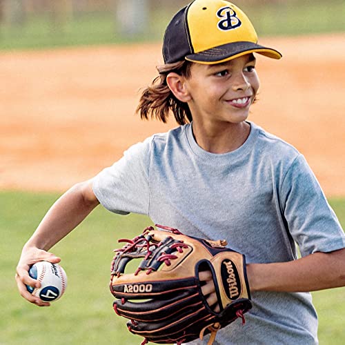 Playfinity Backyard League Gaming Baseball - Gift of the Year - Gamified Baseball - Improve Skills while Having Fun - Beat Your Score, track Progress - Free Mobile app 6+ Games with Speed Detection by Playfinity, Inc.