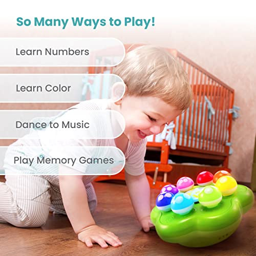 BEST LEARNING Mushroom Garden - Interactive Educational Light-Up Toddler Toys for 1 to 3 Years Old Infants & Toddlers - Colors, Numbers, Games & Music for Kids from Best Learning Materials Corp.