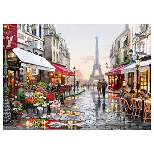 Jigsaw Puzzles 1000 Pieces for Adults - Paris Jigsaw Puzzle with Letters on Back - Premium Cardboard Perfect Interlocking Clear Printingï¼28Ã20Inï¼ by Andmei