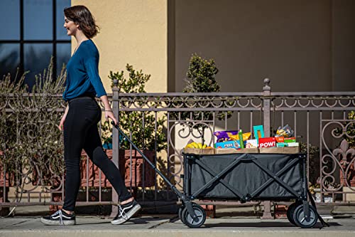 PICNIC TIME Carolina Panthers Adventure Wagon Folding Utility Tailgate Wagon from Picnic Time