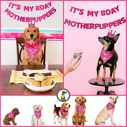 Odi Style Dog Birthday Party Supplies - Dog Birthday Bandana Set - Birthday Girl Bandana for Medium, Large Dogs, Party Hat, Crown and Cute Dog Birthday Banner with It's My Birthday Mother Puppers Sign from Odi Style