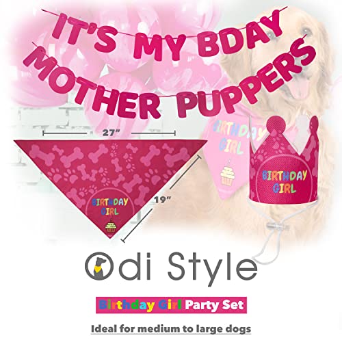 Odi Style Dog Birthday Party Supplies - Dog Birthday Bandana Set - Birthday Girl Bandana for Medium, Large Dogs, Party Hat, Crown and Cute Dog Birthday Banner with It's My Birthday Mother Puppers Sign from Odi Style