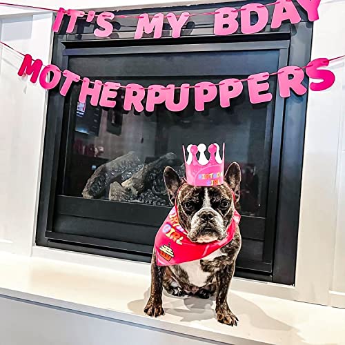 Odi Style Dog Birthday Party Supplies - Dog Birthday Bandana Set - Birthday Girl Bandana for Medium, Large Dogs, Party Hat, Crown and Cute Dog Birthday Banner with It's My Birthday Mother Puppers Sign from Odi Style