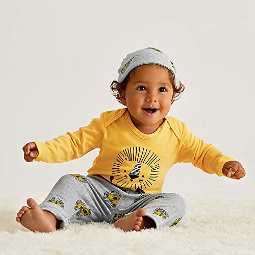 Newborn Baby Boy Clothes Little Lion Print Romper+Pants+Hat Newborn Boy Outfits Set(0-3 Months) from 