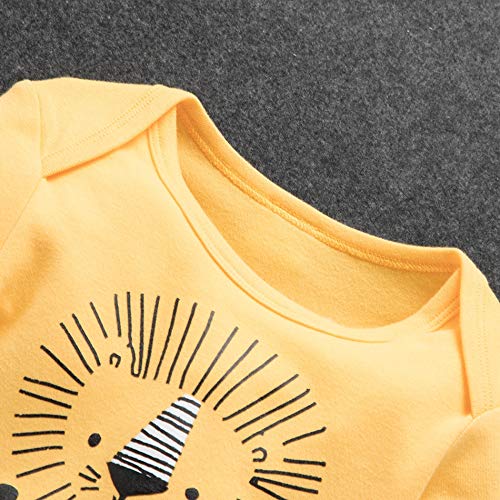 Newborn Baby Boy Clothes Little Lion Print Romper+Pants+Hat Newborn Boy Outfits Set(0-3 Months) from 