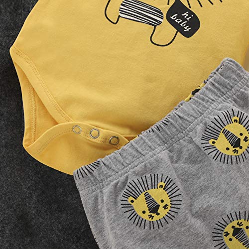 Newborn Baby Boy Clothes Little Lion Print Romper+Pants+Hat Newborn Boy Outfits Set(0-3 Months) from 