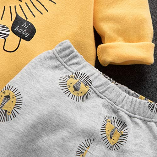 Newborn Baby Boy Clothes Little Lion Print Romper+Pants+Hat Newborn Boy Outfits Set(0-3 Months) from 